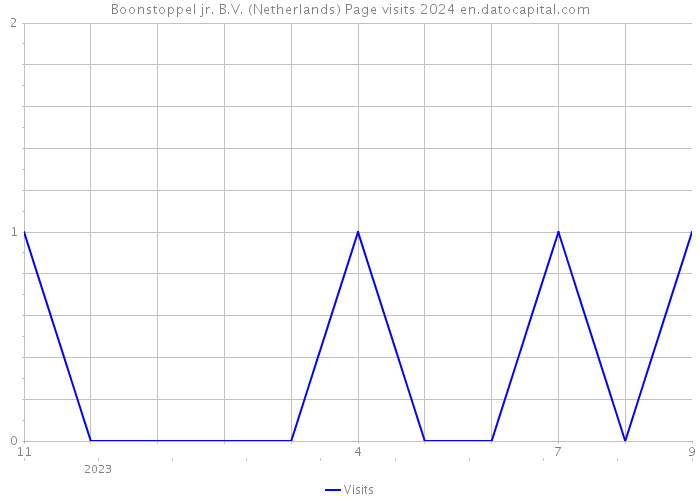 Boonstoppel jr. B.V. (Netherlands) Page visits 2024 