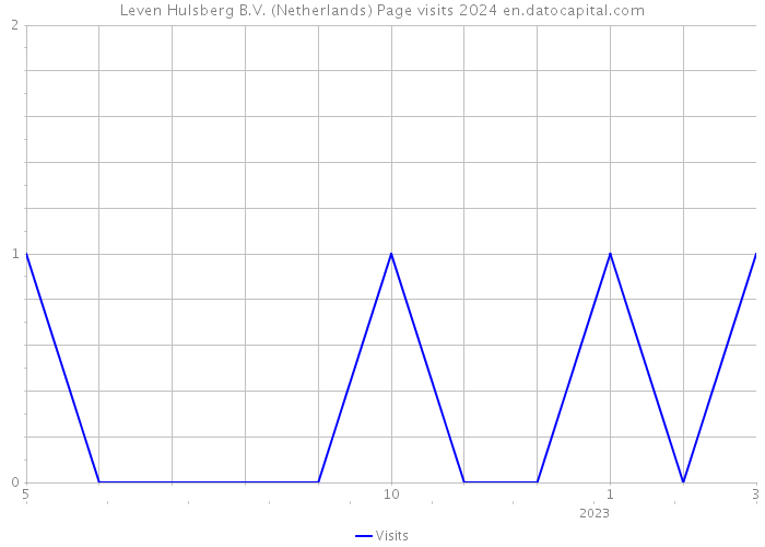 Leven Hulsberg B.V. (Netherlands) Page visits 2024 