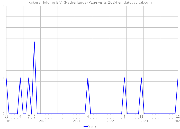 Rekers Holding B.V. (Netherlands) Page visits 2024 
