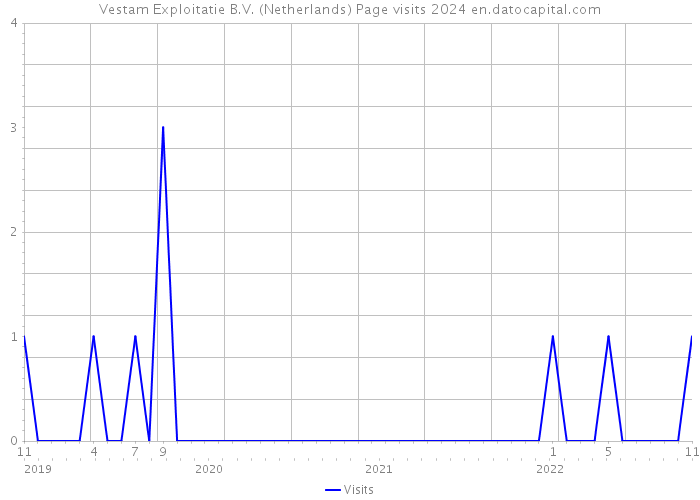 Vestam Exploitatie B.V. (Netherlands) Page visits 2024 