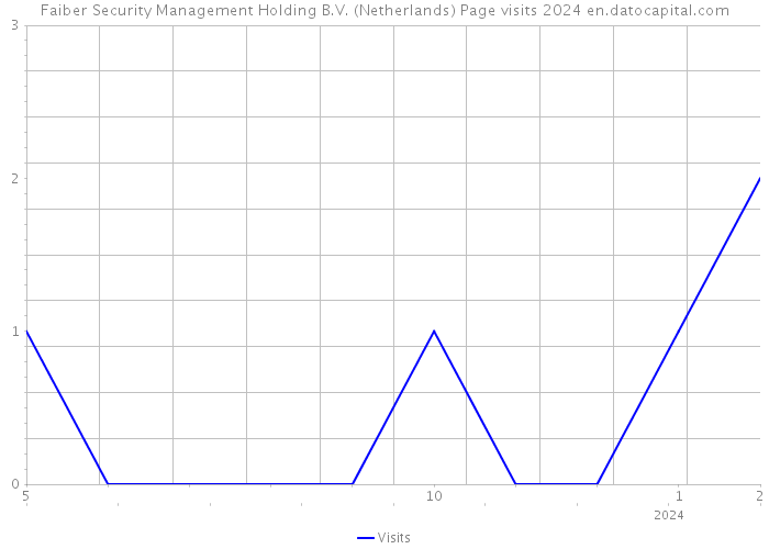 Faiber Security Management Holding B.V. (Netherlands) Page visits 2024 