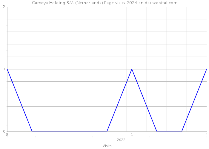 Camaya Holding B.V. (Netherlands) Page visits 2024 