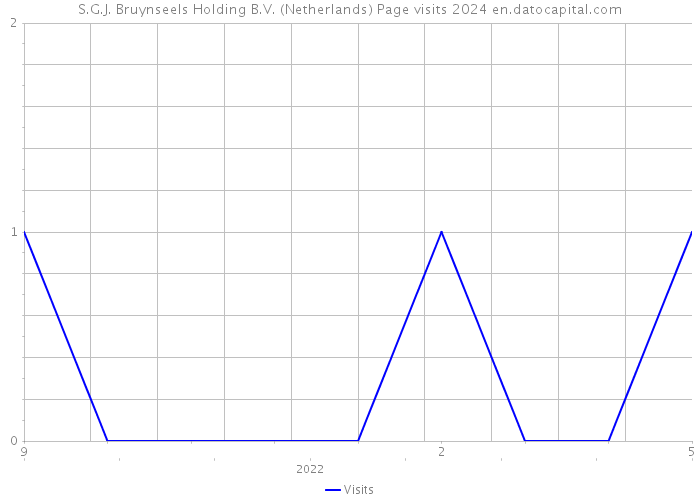 S.G.J. Bruynseels Holding B.V. (Netherlands) Page visits 2024 