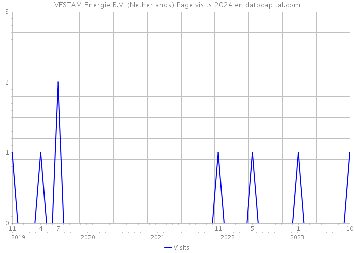 VESTAM Energie B.V. (Netherlands) Page visits 2024 