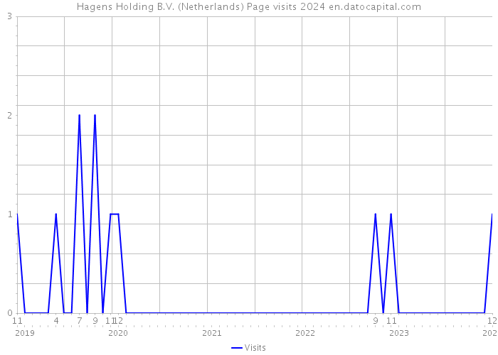 Hagens Holding B.V. (Netherlands) Page visits 2024 