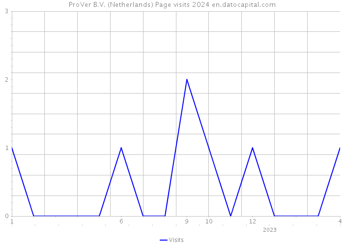 ProVer B.V. (Netherlands) Page visits 2024 