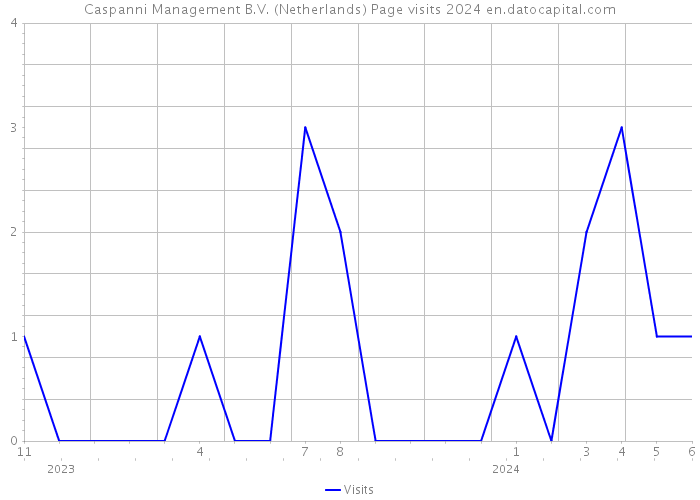 Caspanni Management B.V. (Netherlands) Page visits 2024 