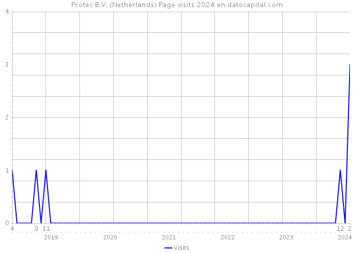 Protec B.V. (Netherlands) Page visits 2024 