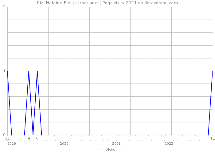 Riel Holding B.V. (Netherlands) Page visits 2024 