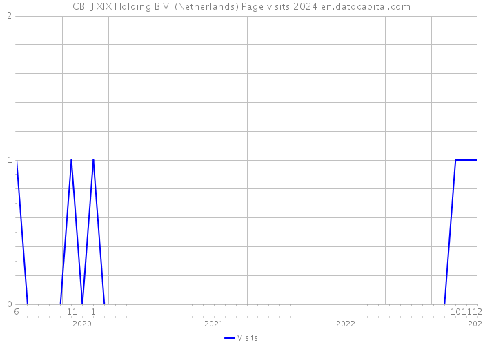 CBTJ XIX Holding B.V. (Netherlands) Page visits 2024 