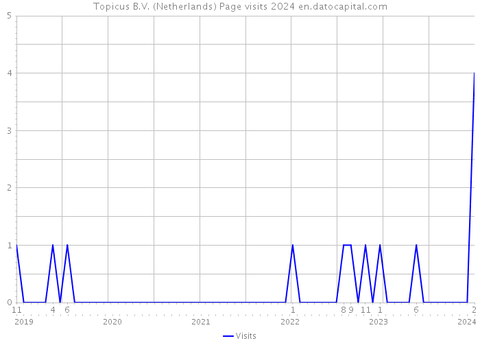 Topicus B.V. (Netherlands) Page visits 2024 