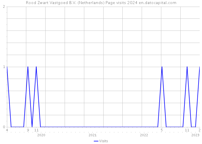 Rood Zwart Vastgoed B.V. (Netherlands) Page visits 2024 