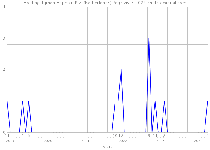 Holding Tijmen Hopman B.V. (Netherlands) Page visits 2024 