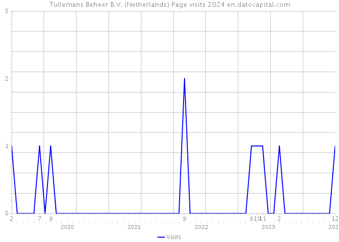 Tullemans Beheer B.V. (Netherlands) Page visits 2024 