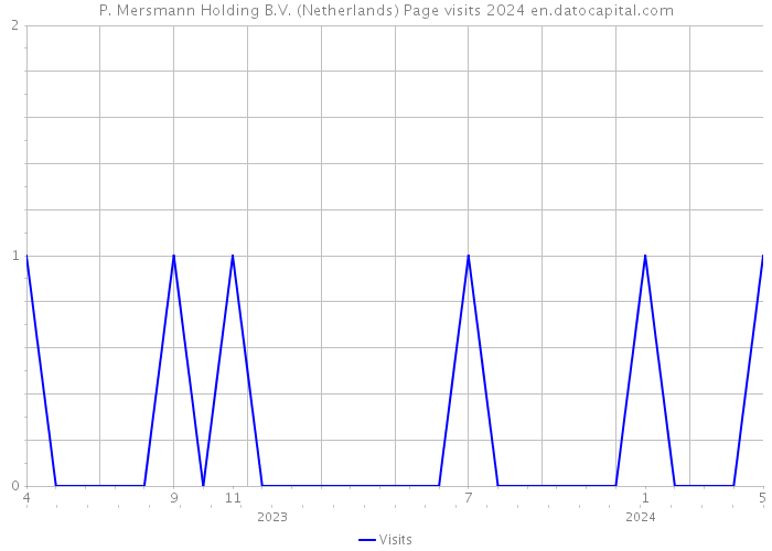 P. Mersmann Holding B.V. (Netherlands) Page visits 2024 