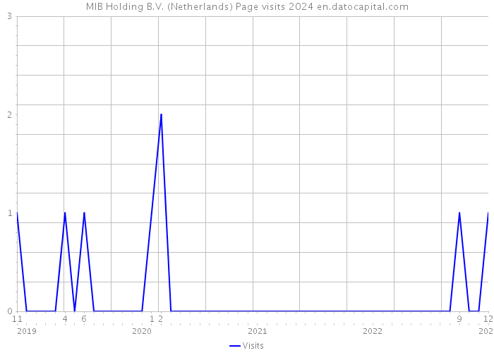 MIB Holding B.V. (Netherlands) Page visits 2024 