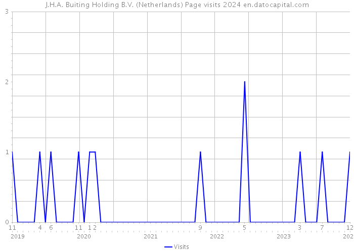 J.H.A. Buiting Holding B.V. (Netherlands) Page visits 2024 