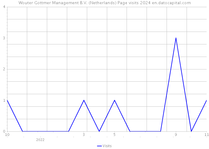 Wouter Gottmer Management B.V. (Netherlands) Page visits 2024 