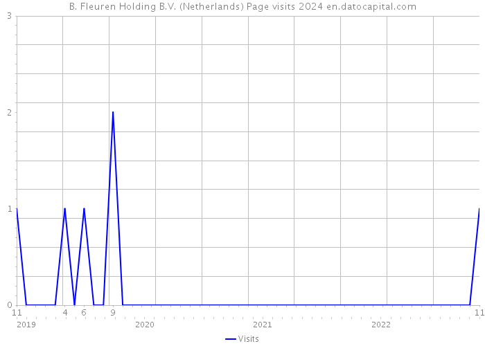 B. Fleuren Holding B.V. (Netherlands) Page visits 2024 
