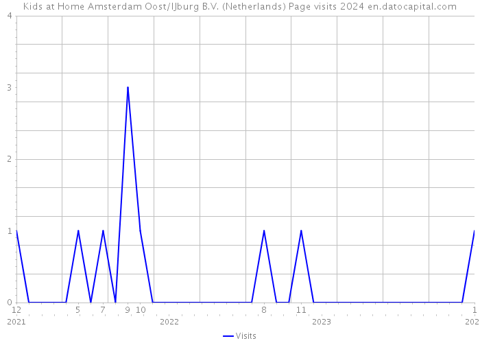Kids at Home Amsterdam Oost/IJburg B.V. (Netherlands) Page visits 2024 