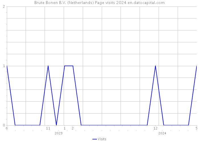 Brute Bonen B.V. (Netherlands) Page visits 2024 