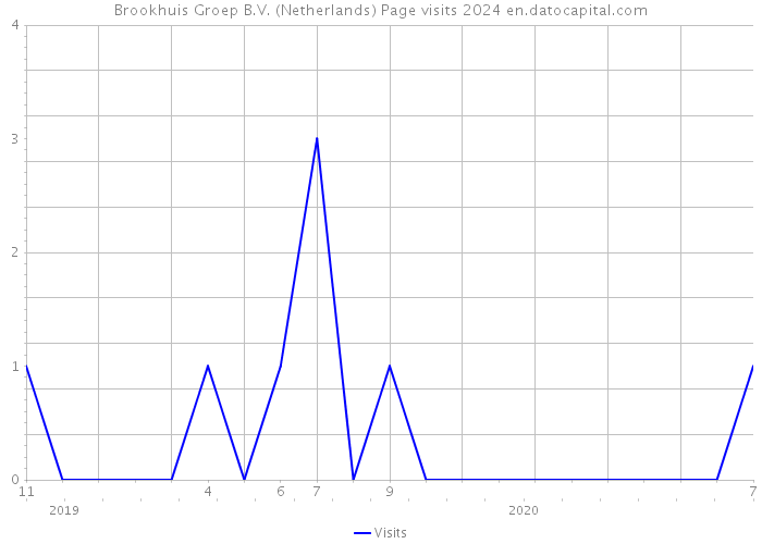 Brookhuis Groep B.V. (Netherlands) Page visits 2024 