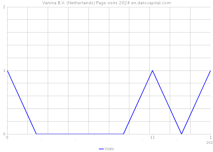 Vanina B.V. (Netherlands) Page visits 2024 