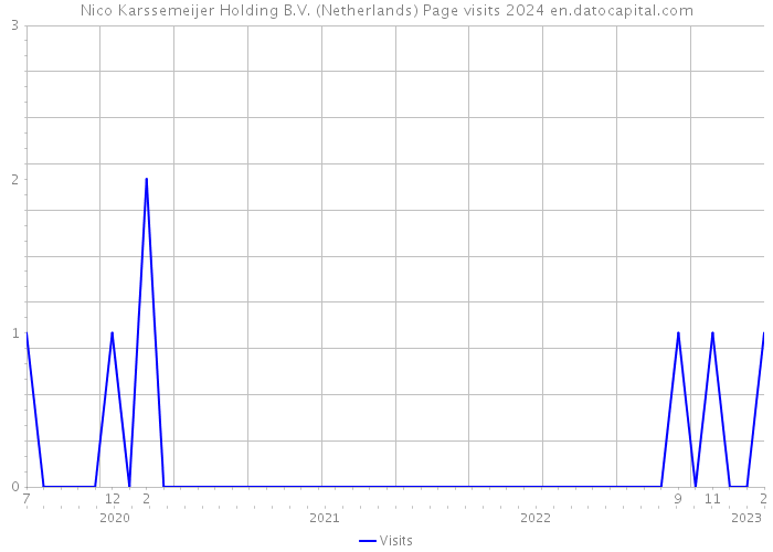 Nico Karssemeijer Holding B.V. (Netherlands) Page visits 2024 