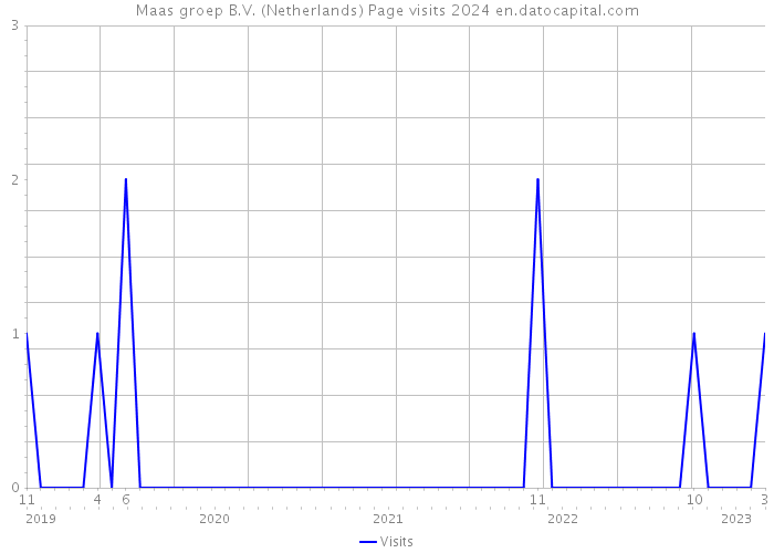 Maas groep B.V. (Netherlands) Page visits 2024 