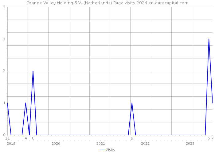 Orange Valley Holding B.V. (Netherlands) Page visits 2024 