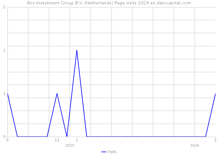 Bos Investment Group B.V. (Netherlands) Page visits 2024 