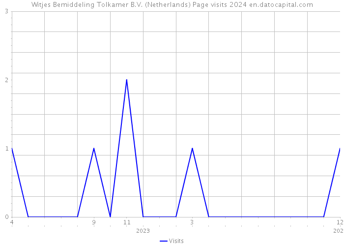Witjes Bemiddeling Tolkamer B.V. (Netherlands) Page visits 2024 