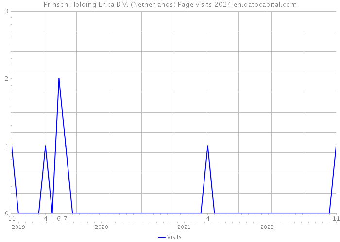 Prinsen Holding Erica B.V. (Netherlands) Page visits 2024 