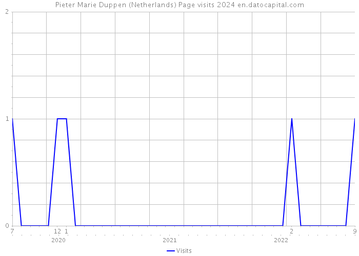Pieter Marie Duppen (Netherlands) Page visits 2024 
