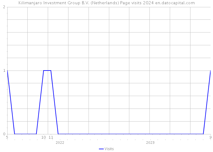 Kilimanjaro Investment Group B.V. (Netherlands) Page visits 2024 