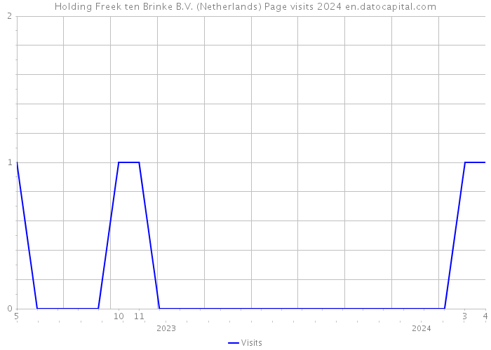 Holding Freek ten Brinke B.V. (Netherlands) Page visits 2024 