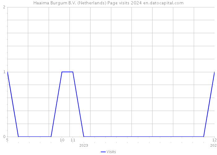 Haaima Burgum B.V. (Netherlands) Page visits 2024 