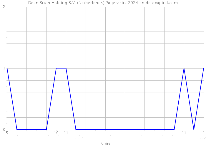 Daan Bruin Holding B.V. (Netherlands) Page visits 2024 