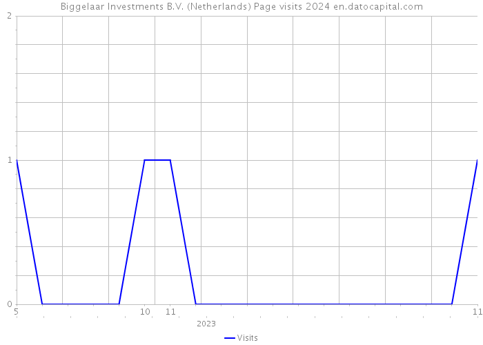 Biggelaar Investments B.V. (Netherlands) Page visits 2024 