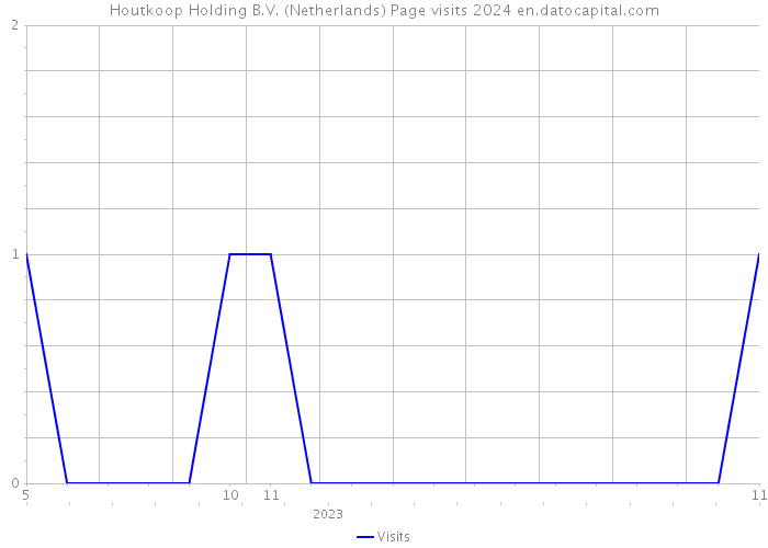 Houtkoop Holding B.V. (Netherlands) Page visits 2024 