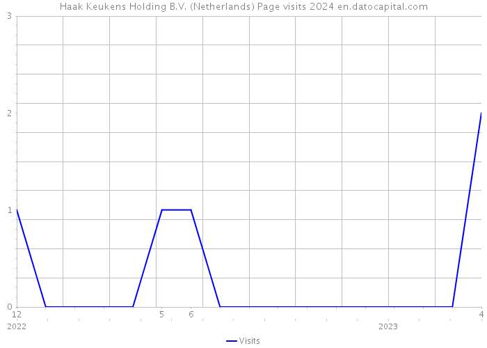 Haak Keukens Holding B.V. (Netherlands) Page visits 2024 