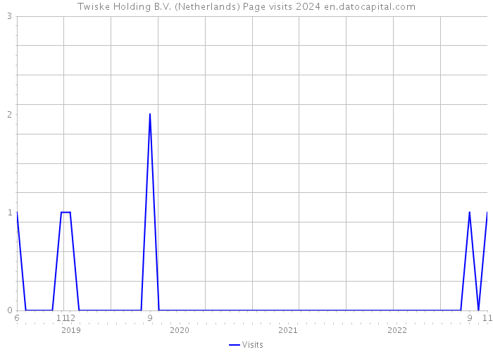 Twiske Holding B.V. (Netherlands) Page visits 2024 