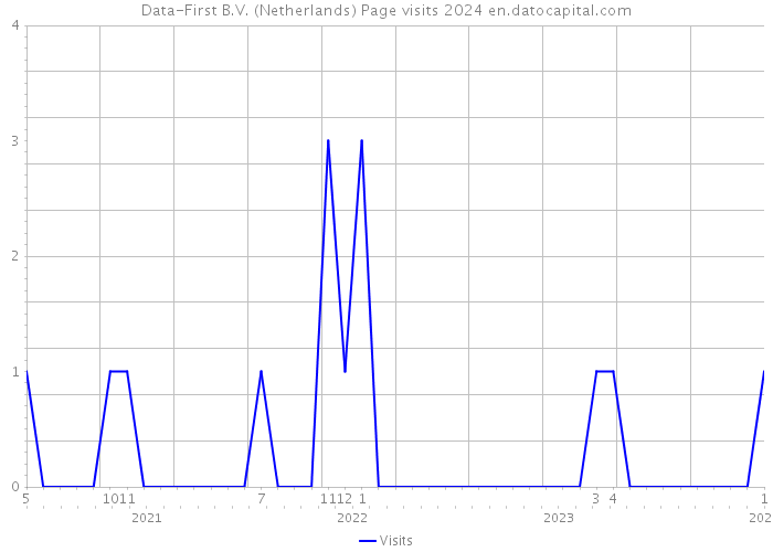 Data-First B.V. (Netherlands) Page visits 2024 
