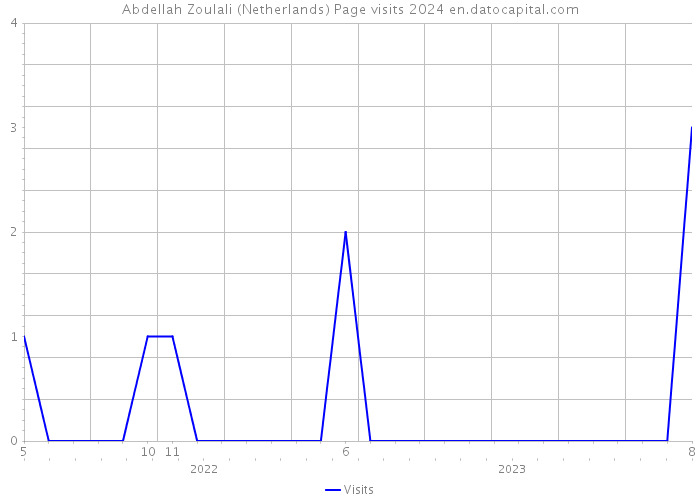 Abdellah Zoulali (Netherlands) Page visits 2024 