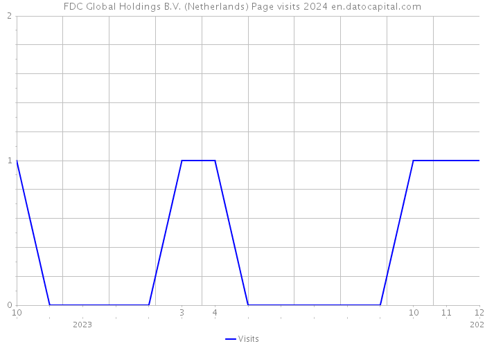 FDC Global Holdings B.V. (Netherlands) Page visits 2024 