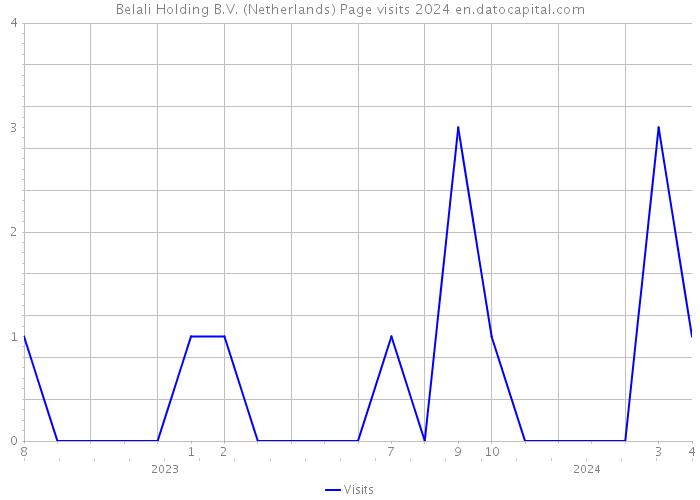 Belali Holding B.V. (Netherlands) Page visits 2024 