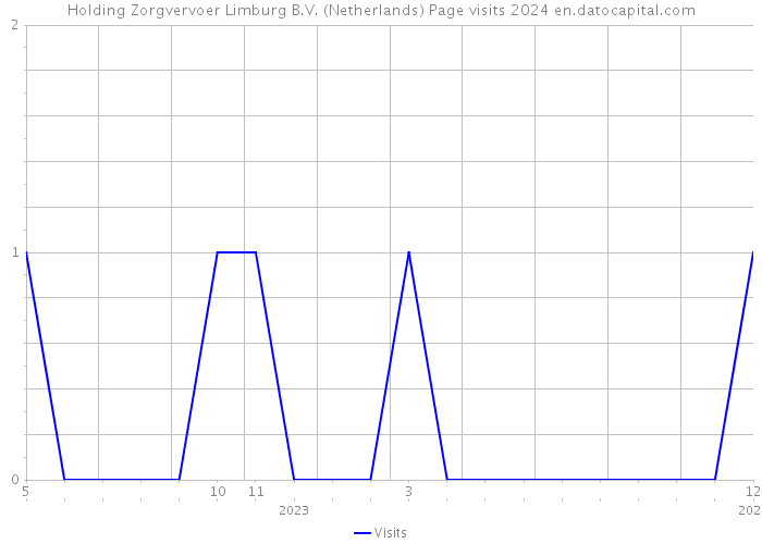 Holding Zorgvervoer Limburg B.V. (Netherlands) Page visits 2024 