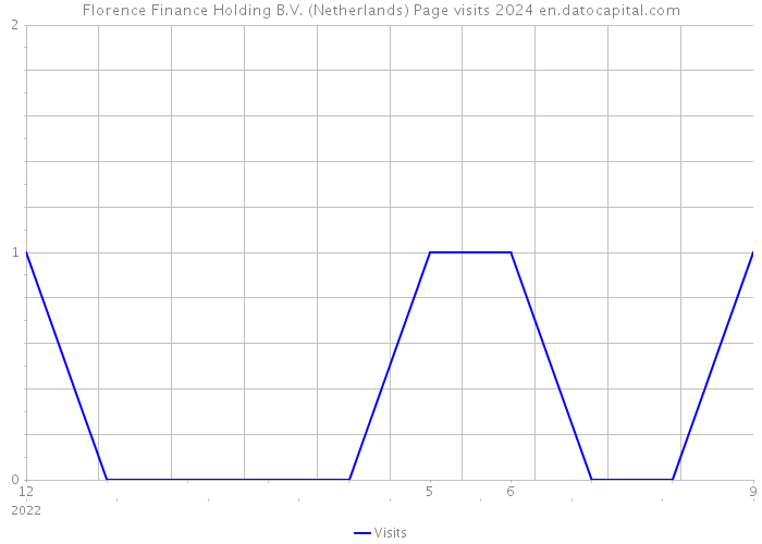 Florence Finance Holding B.V. (Netherlands) Page visits 2024 