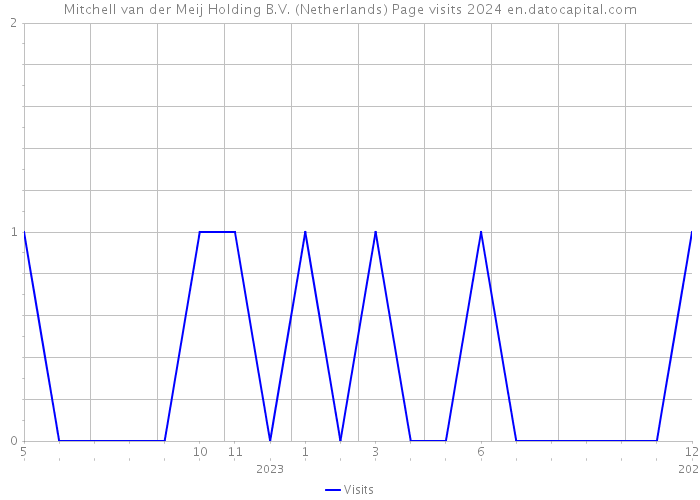 Mitchell van der Meij Holding B.V. (Netherlands) Page visits 2024 