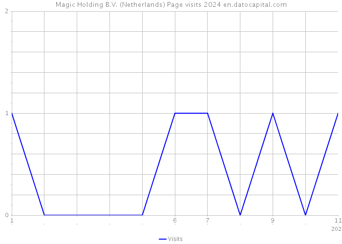 Magic Holding B.V. (Netherlands) Page visits 2024 